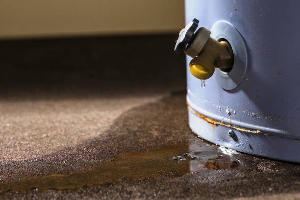 Best Basement water damage restoration  in Sayre, PA