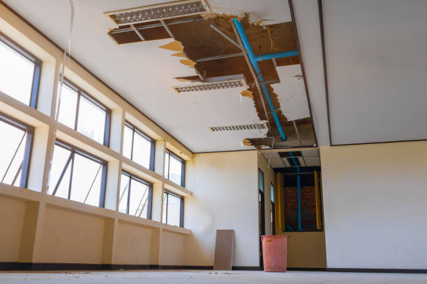 Best Carpet water damage restoration  in Sayre, PA