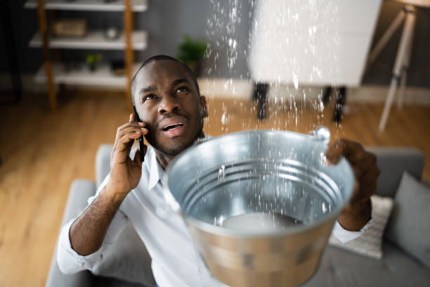Best 24/7 water damage repair  in Sayre, PA
