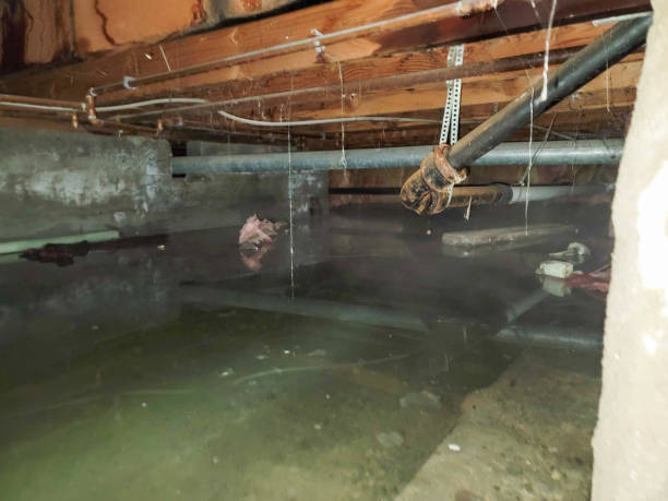 Best Water damage restoration insurance claims  in Sayre, PA