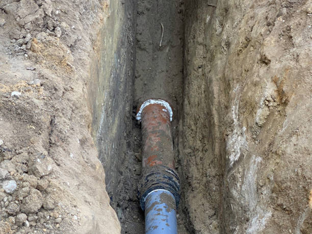 Best Professional water damage repair  in Sayre, PA
