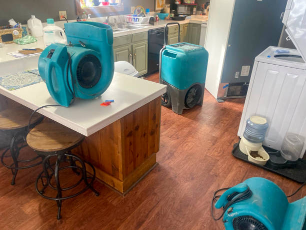 Best Sewage cleanup and water damage restoration  in Sayre, PA