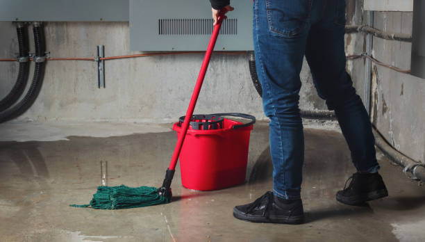 Best Flooded house restoration  in Sayre, PA
