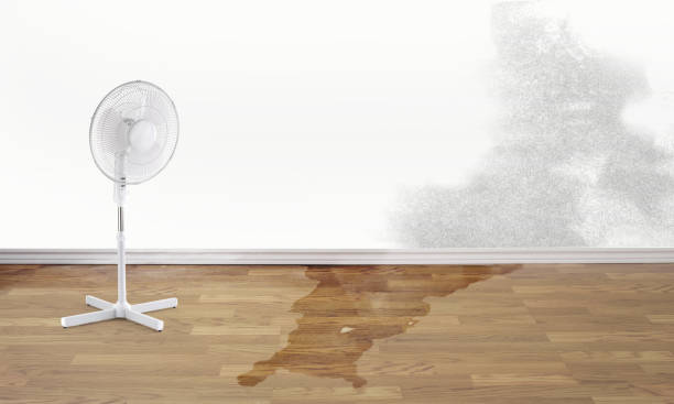  Sayre, PA Water damage restoration Pros