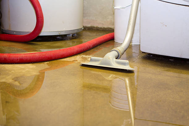 Trusted Sayre, PA Water damage restoration Experts