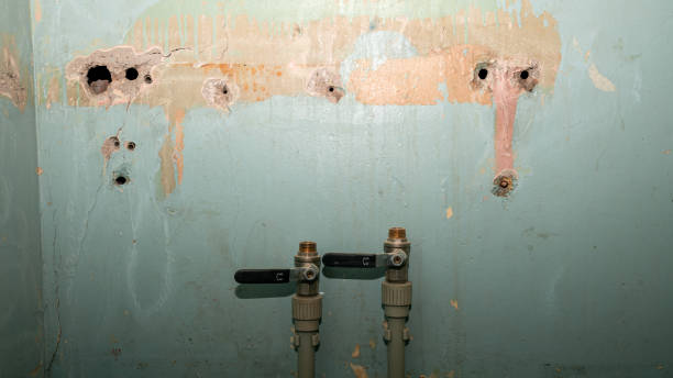 Best Commercial water damage restoration  in Sayre, PA