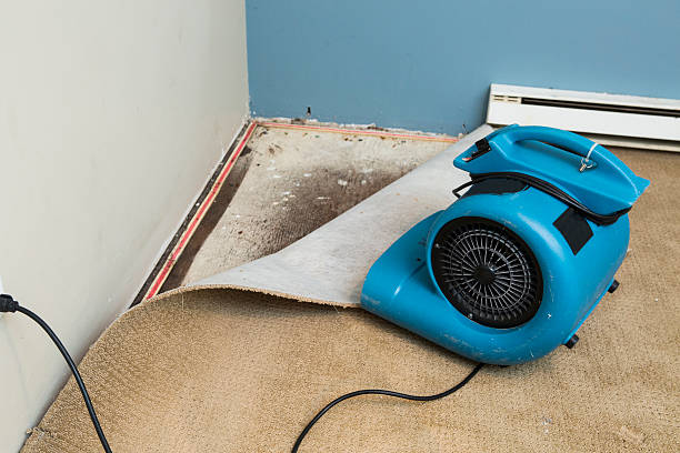 Water damage restoration insurance claims in Sayre, PA
